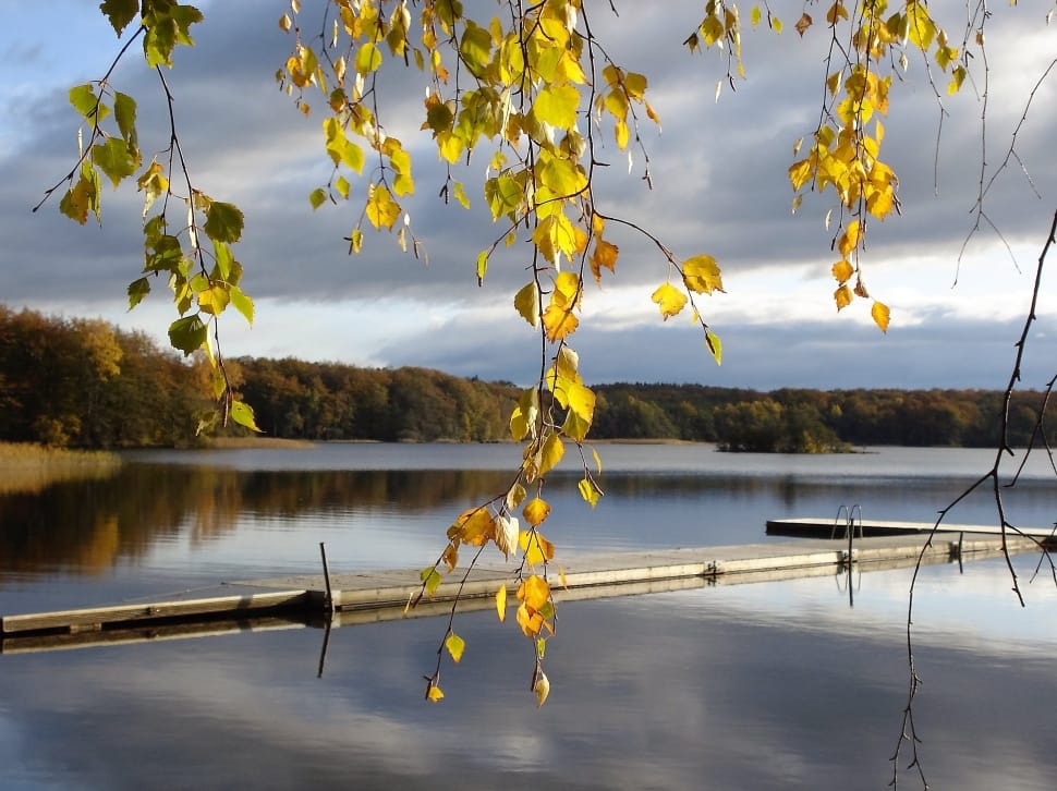 Sweden, Jetty, Autumn, lake, reflection preview