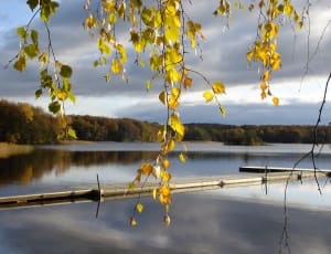 Sweden, Jetty, Autumn, lake, reflection thumbnail