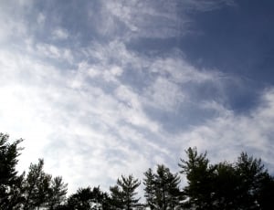 silhouette of trees under white clouds and blue sky during daytime thumbnail