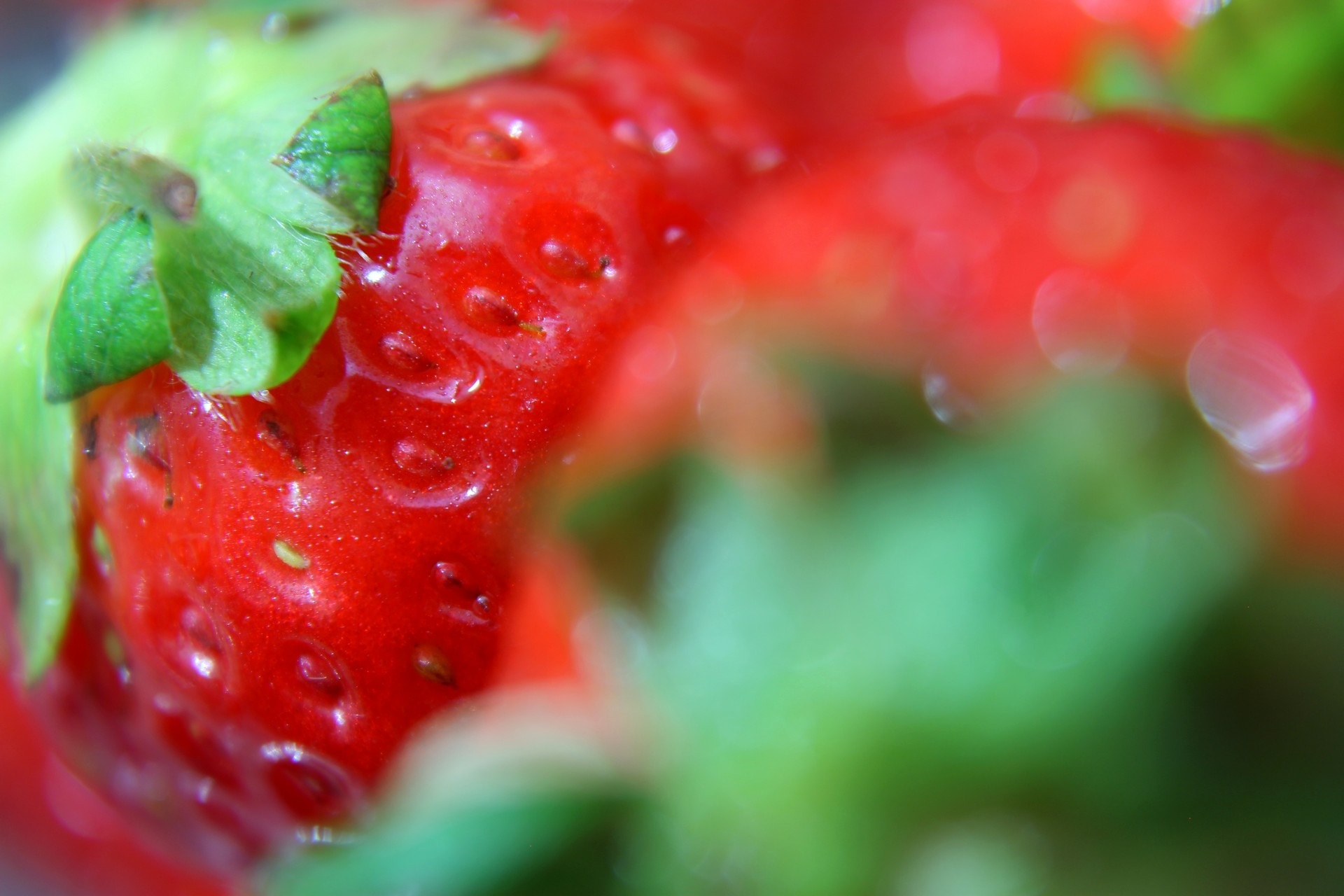 strawberry fruit