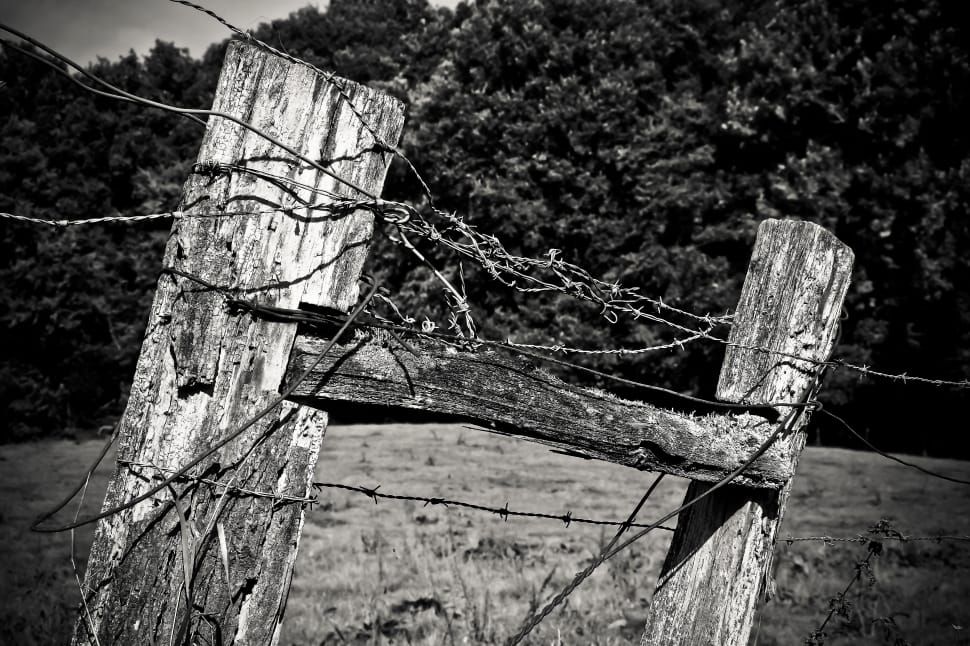gray steel barbed wire and wooden fence preview