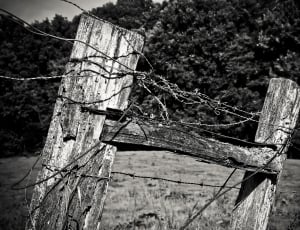 gray steel barbed wire and wooden fence thumbnail
