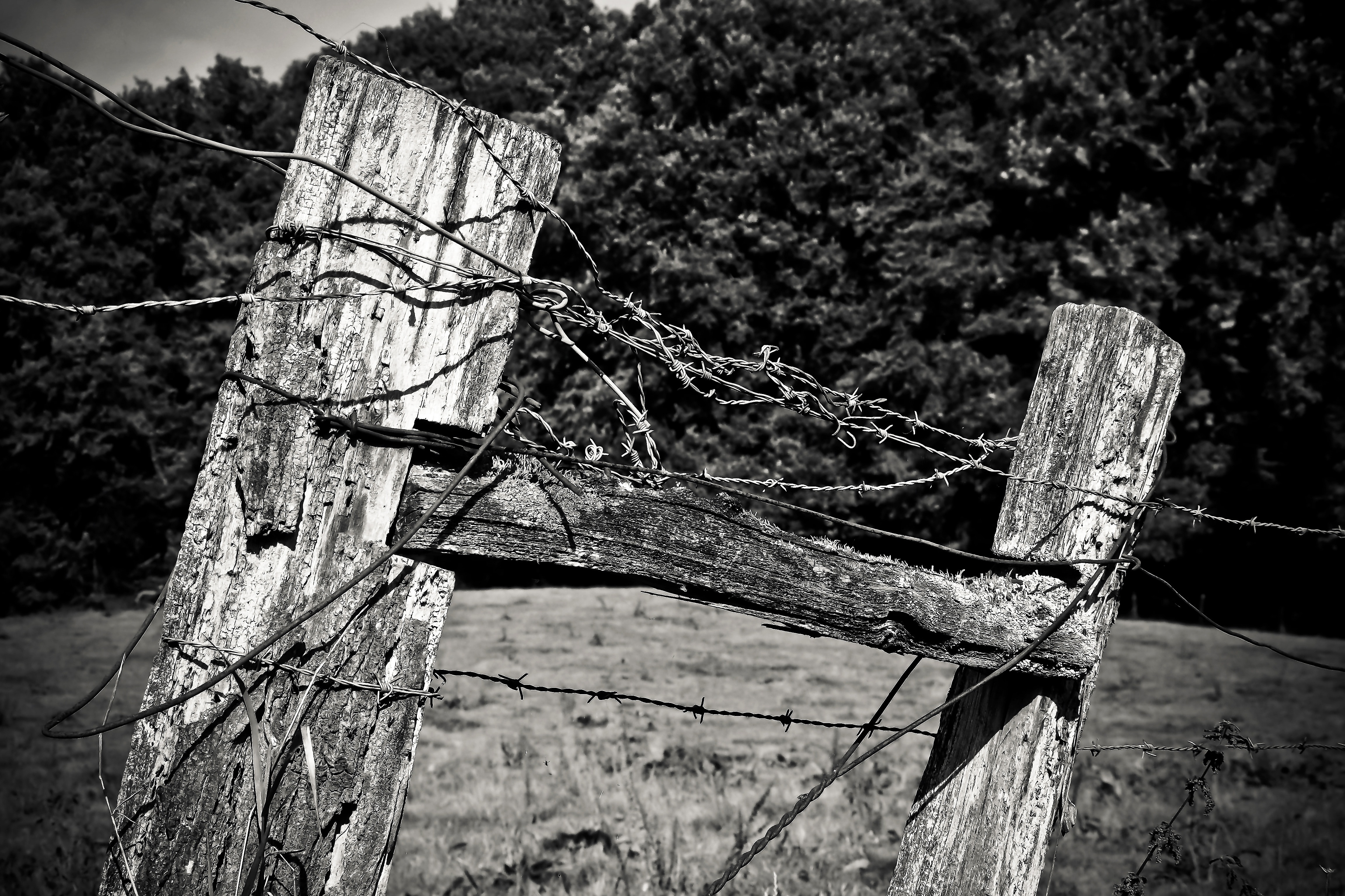 gray steel barbed wire and wooden fence