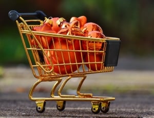 Christmas Shopping, Shopping Cart, shopping cart, consumerism thumbnail