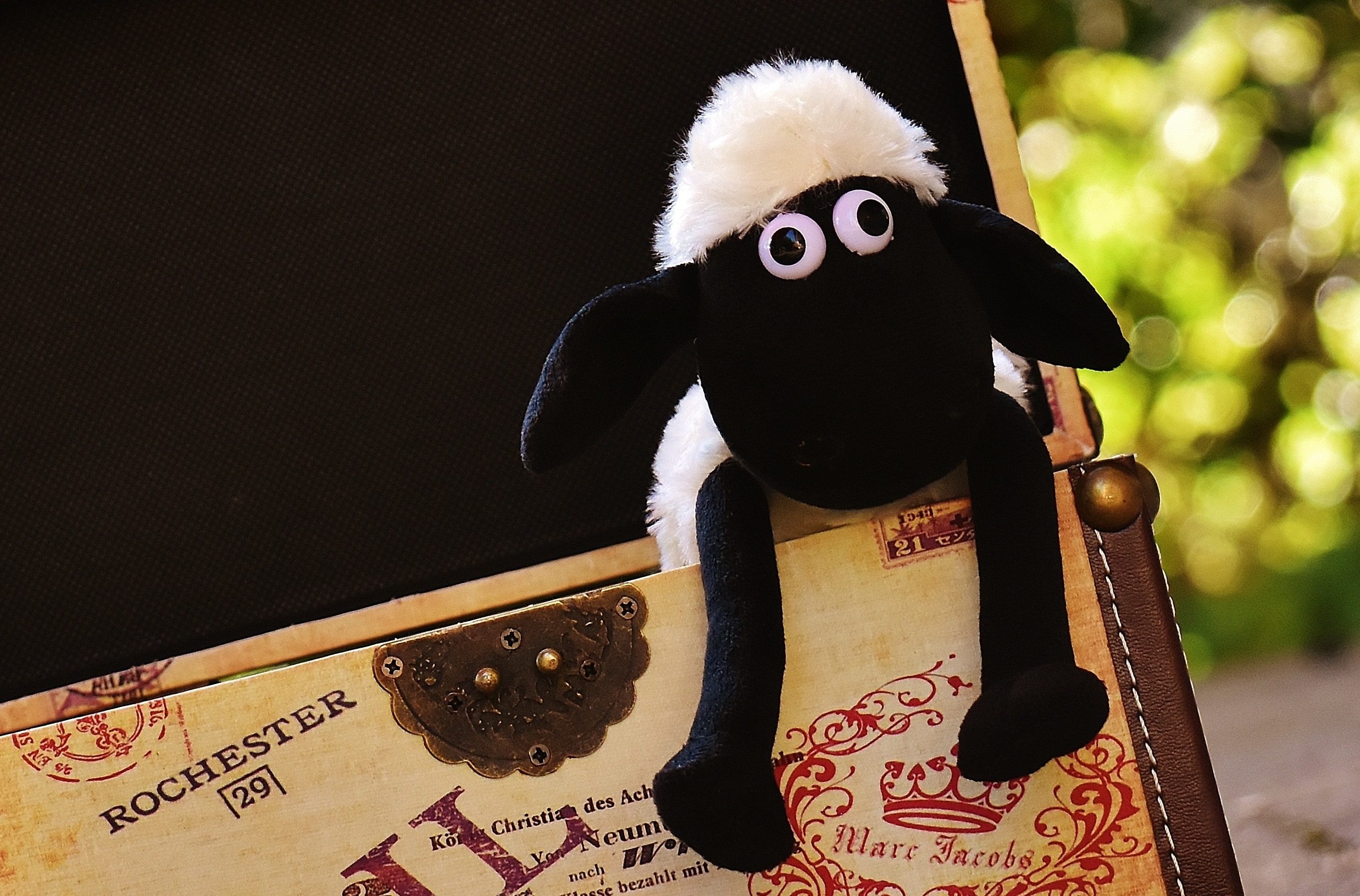 shaun the sheep plush toy
