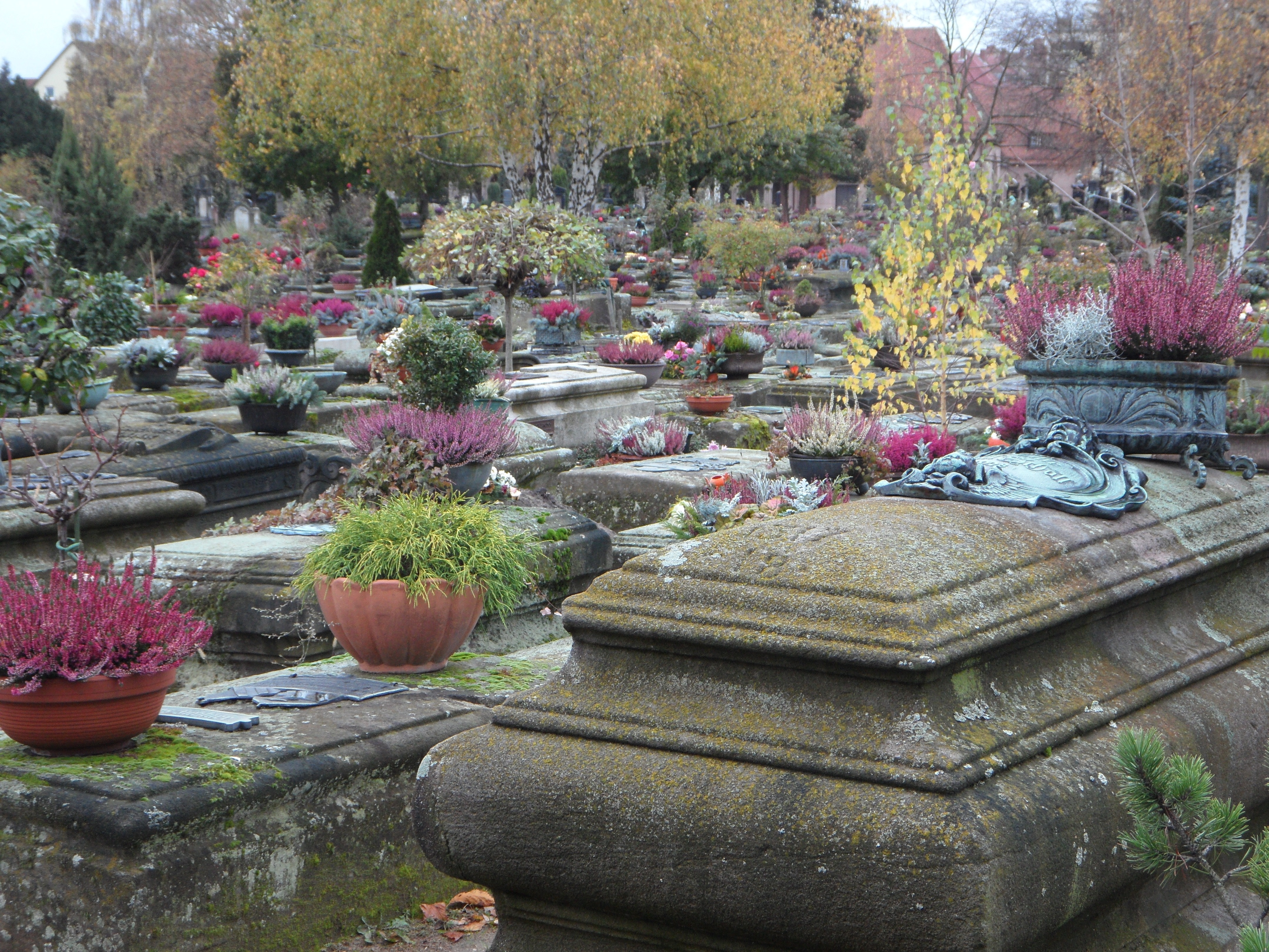 Могильные сады. Кладбище в Нюрнберге. Ботанический сад кладбище. Могильники осенние цветы. Осень цветы кладбище.