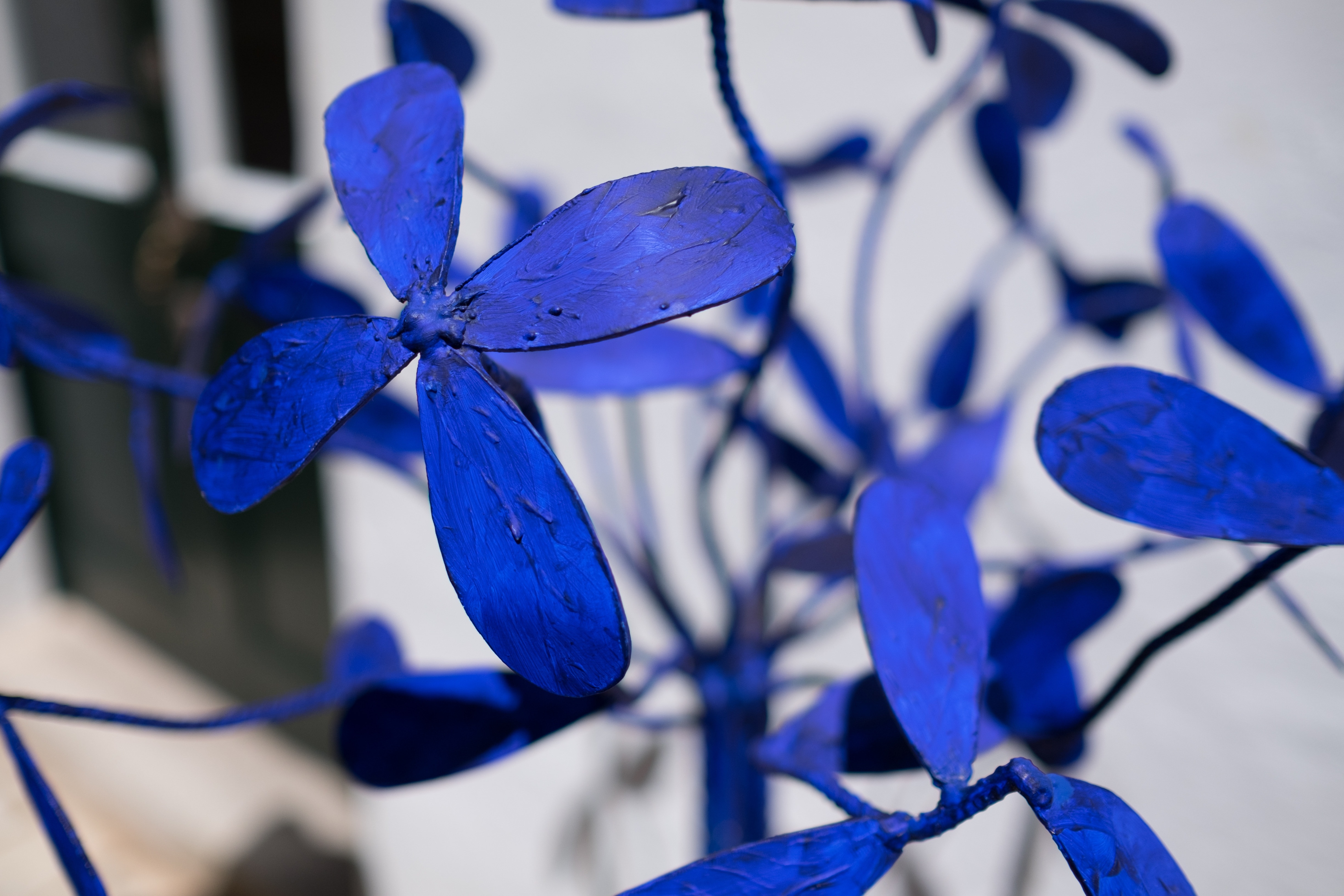 blue 4 petaled flower