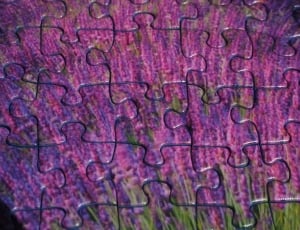 purple and green puzzle thumbnail