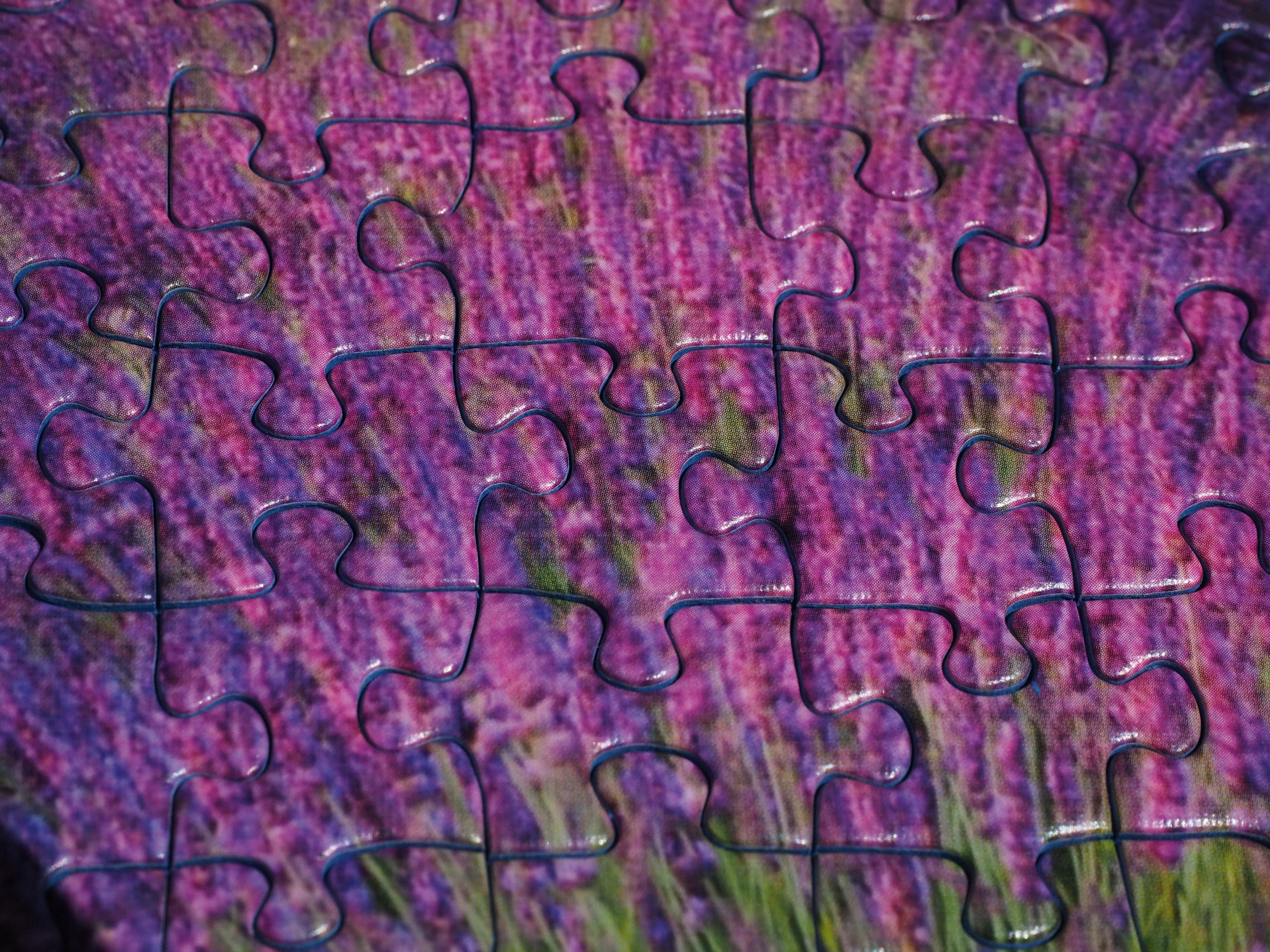 purple and green puzzle