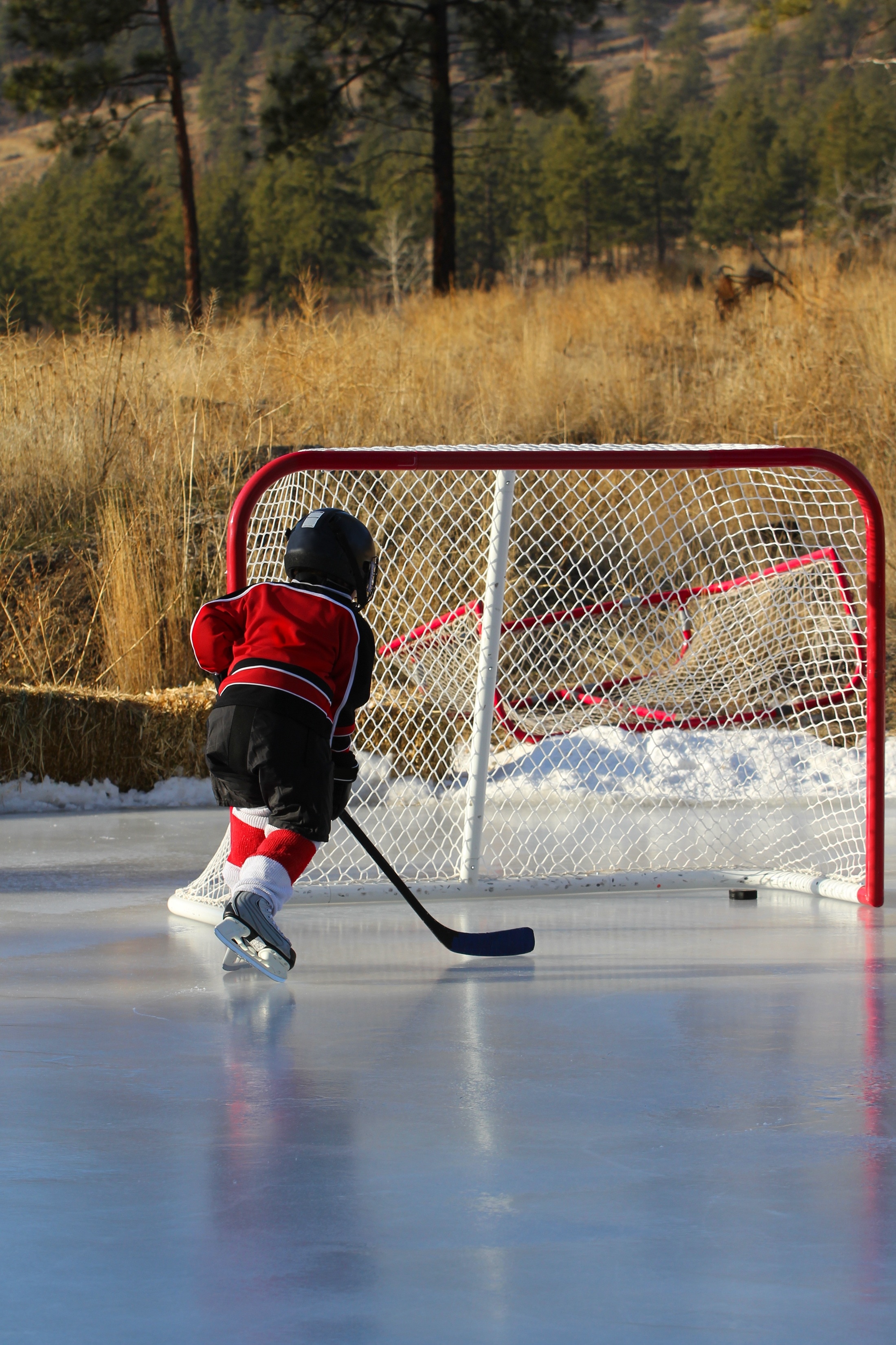 white and red hockey goal