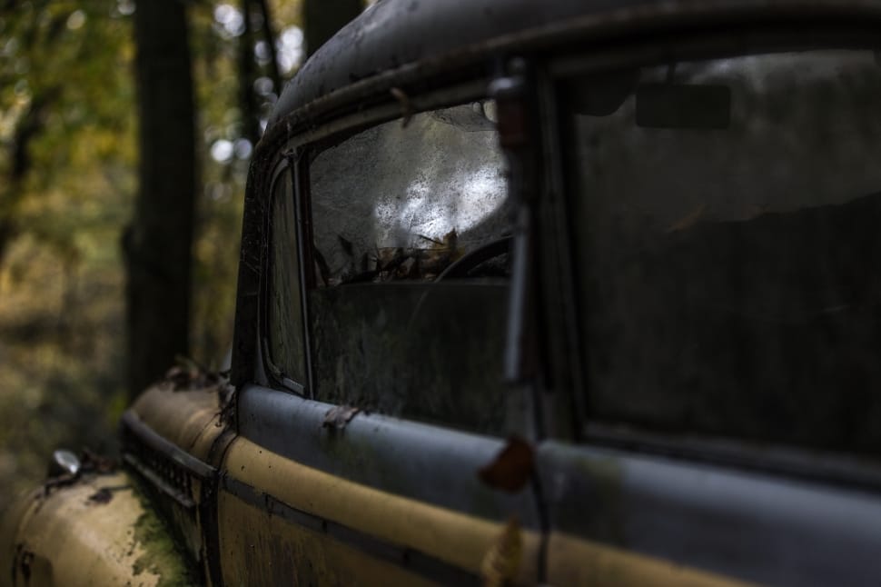 abandoned car window preview