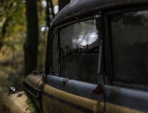 abandoned car window thumbnail
