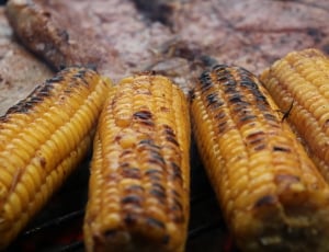 4 piece grilled corn thumbnail