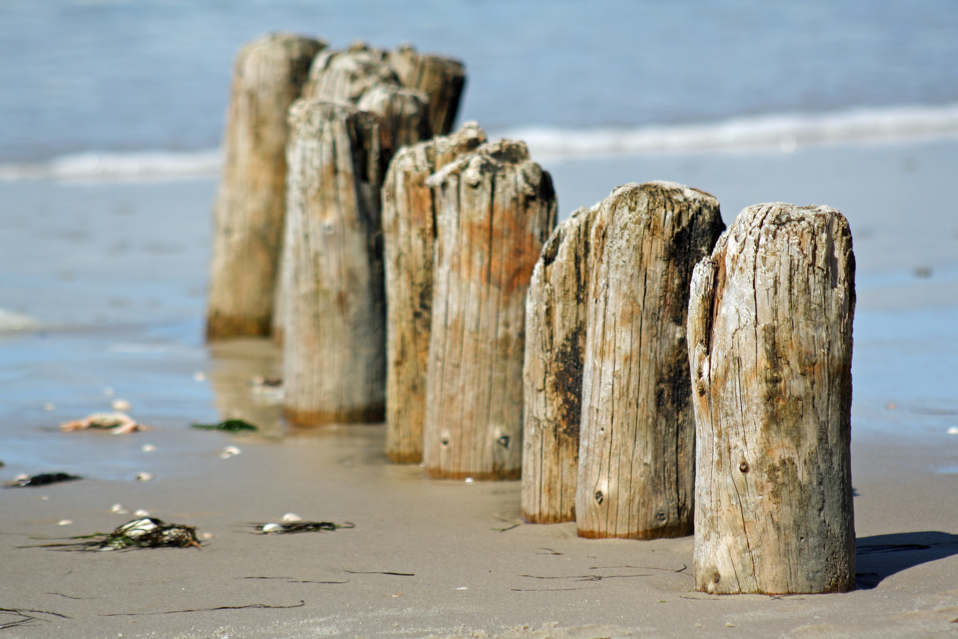 brown wooden beach poles