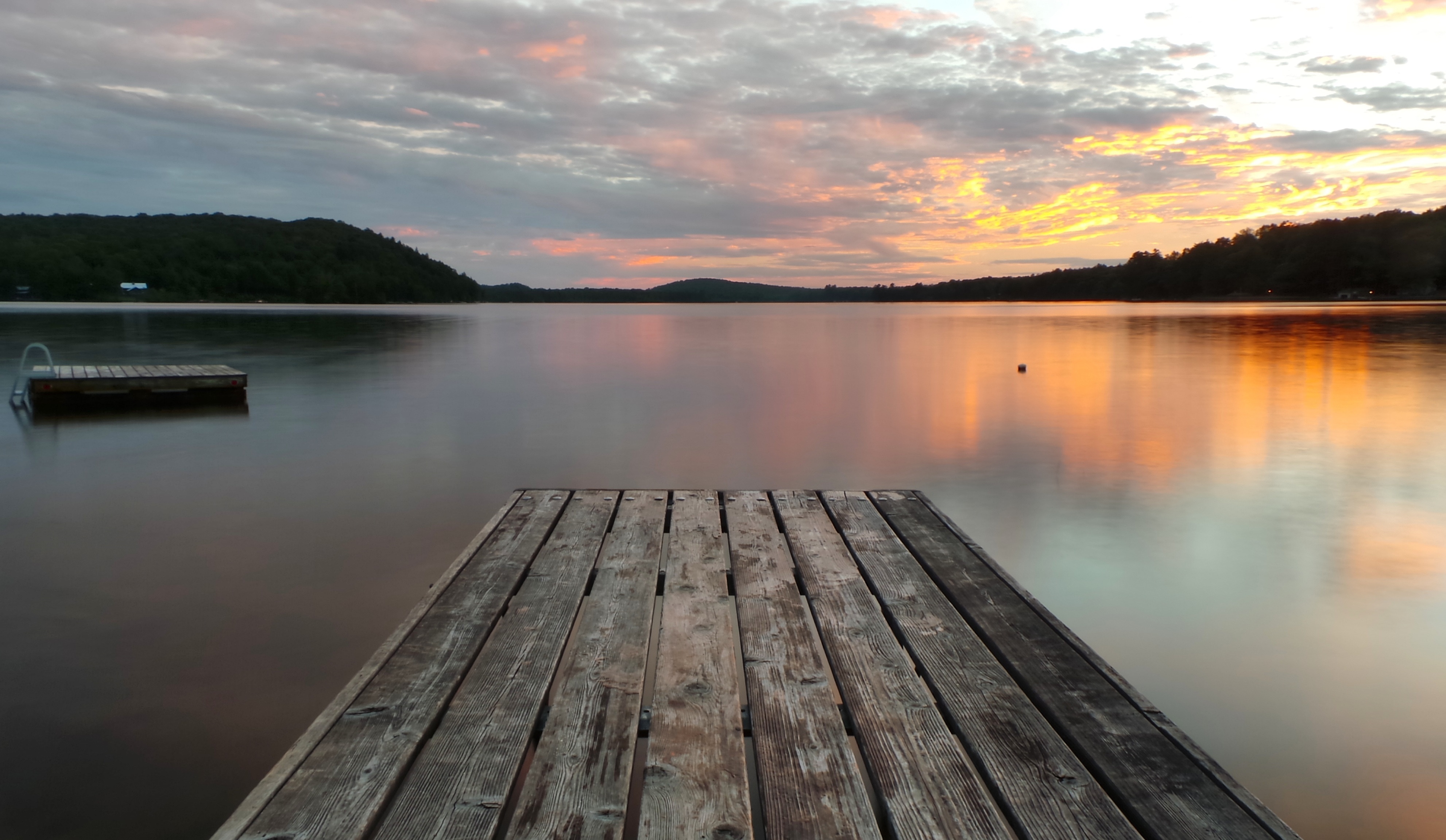 gray wooden boardwalk in front of lake near forest