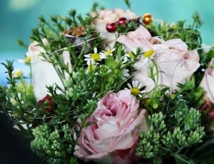 Wedding, Wedding Bouquet, Marry, Flowers, flower, no people thumbnail