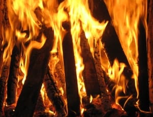 fire wood thumbnail