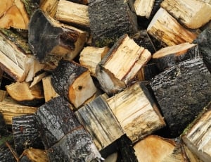 Wood, Tree, Winter, Storage, Supply, log, stack thumbnail