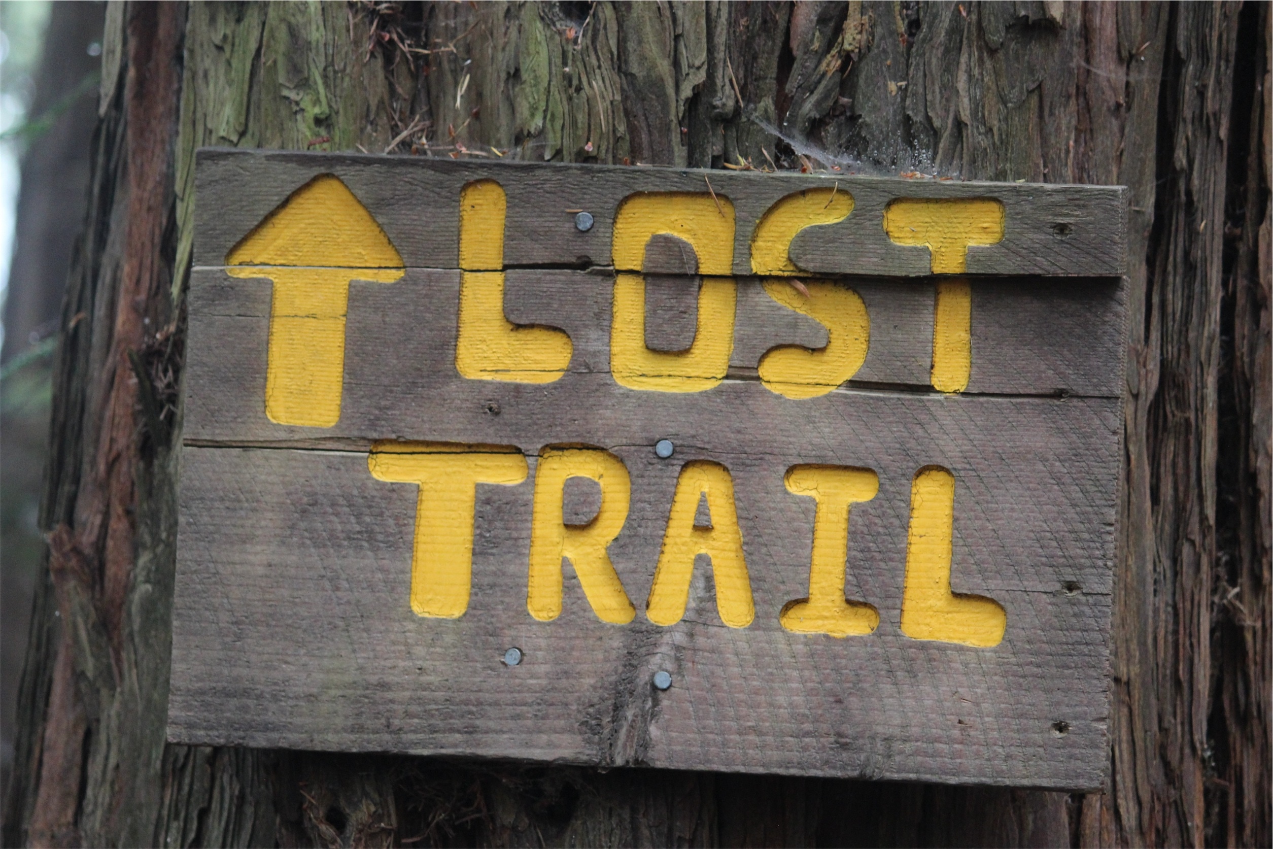 gray and yellow trail wooden signage