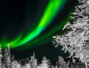 aurora borealis thumbnail