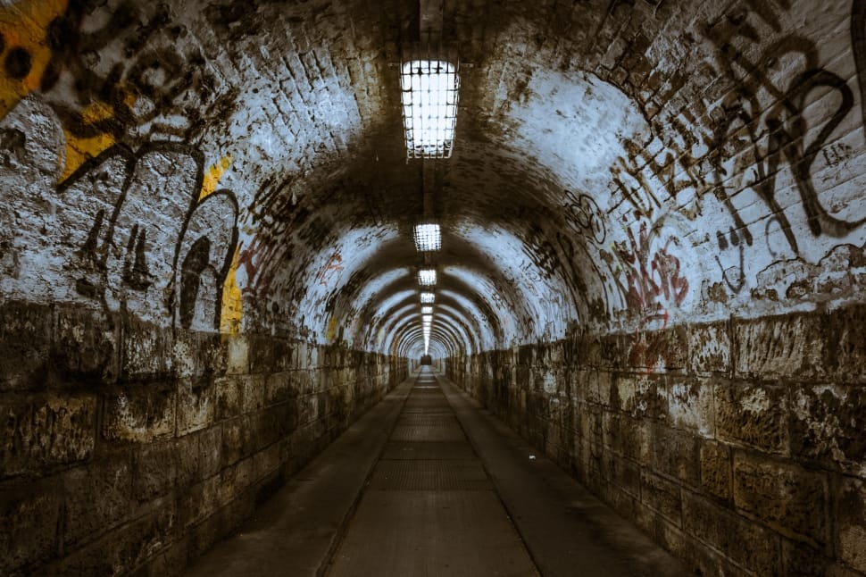 beige and brown tunnel preview