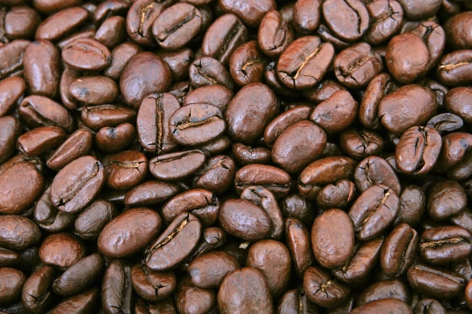 coffee bean lot preview