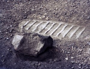 photography of tire track on soil thumbnail