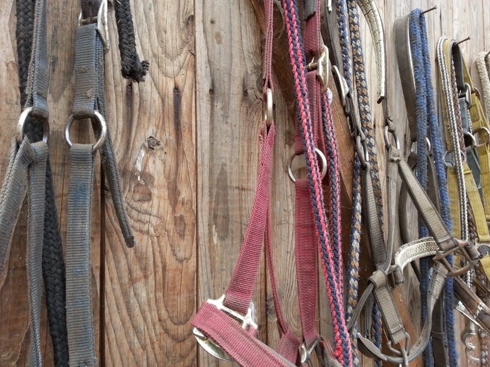 safety harness lot preview