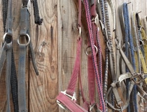 safety harness lot thumbnail