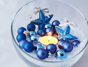 Poinsettia, Background, Christmas, Star, blue, white background thumbnail