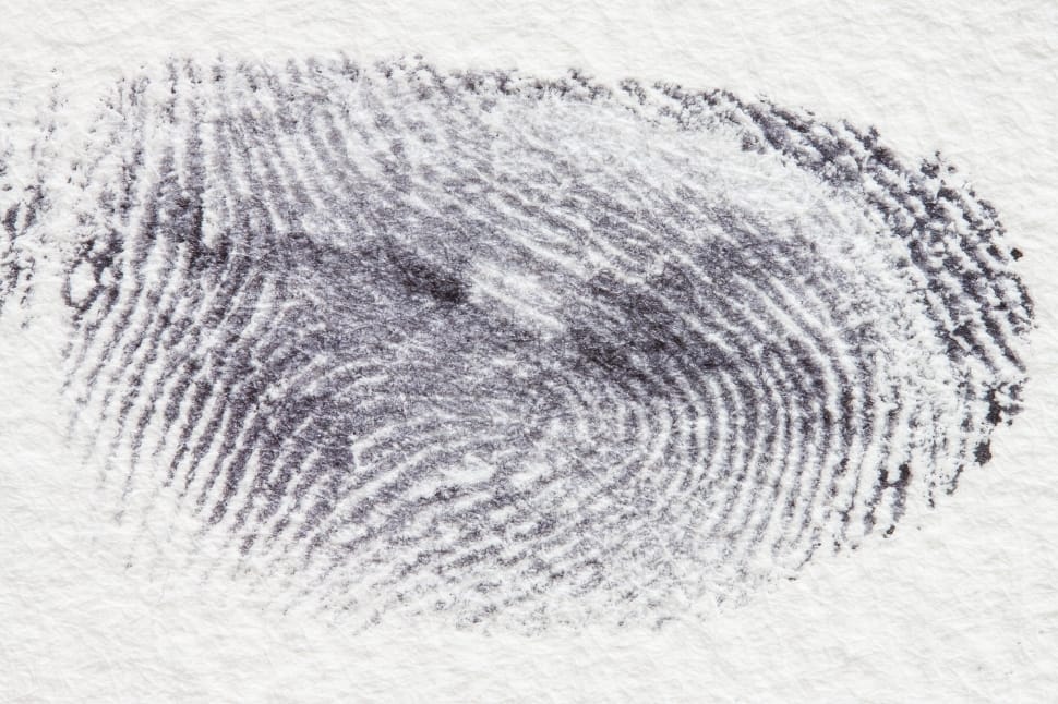 finger print preview