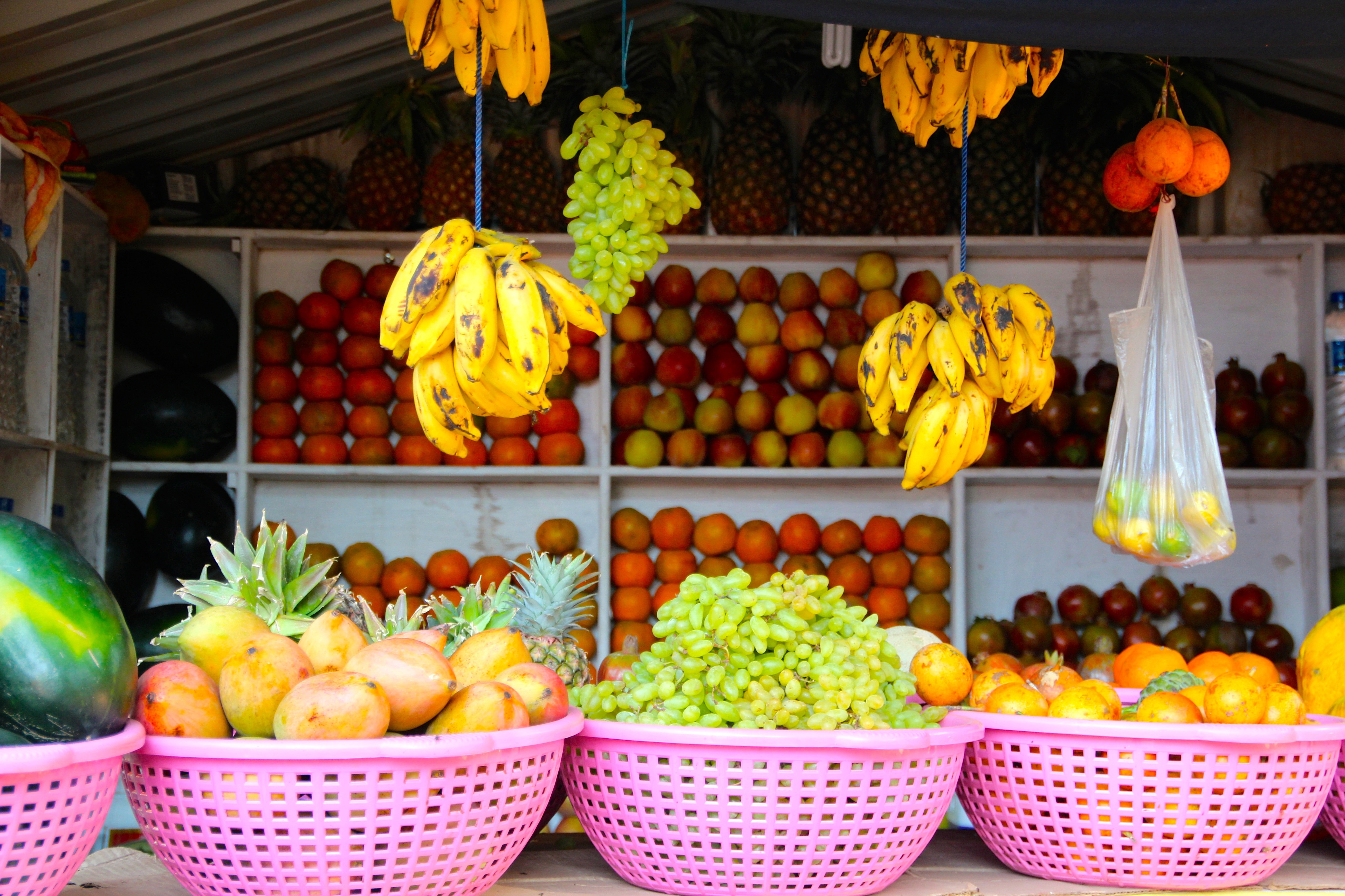 variety of fruit lot