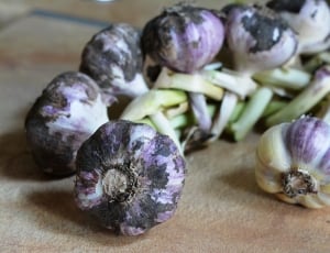 garlic lot thumbnail