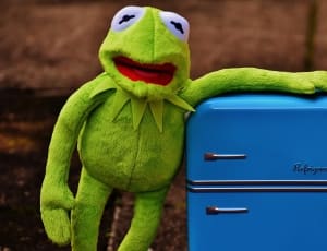 green frog plush toy and refrigerator thumbnail
