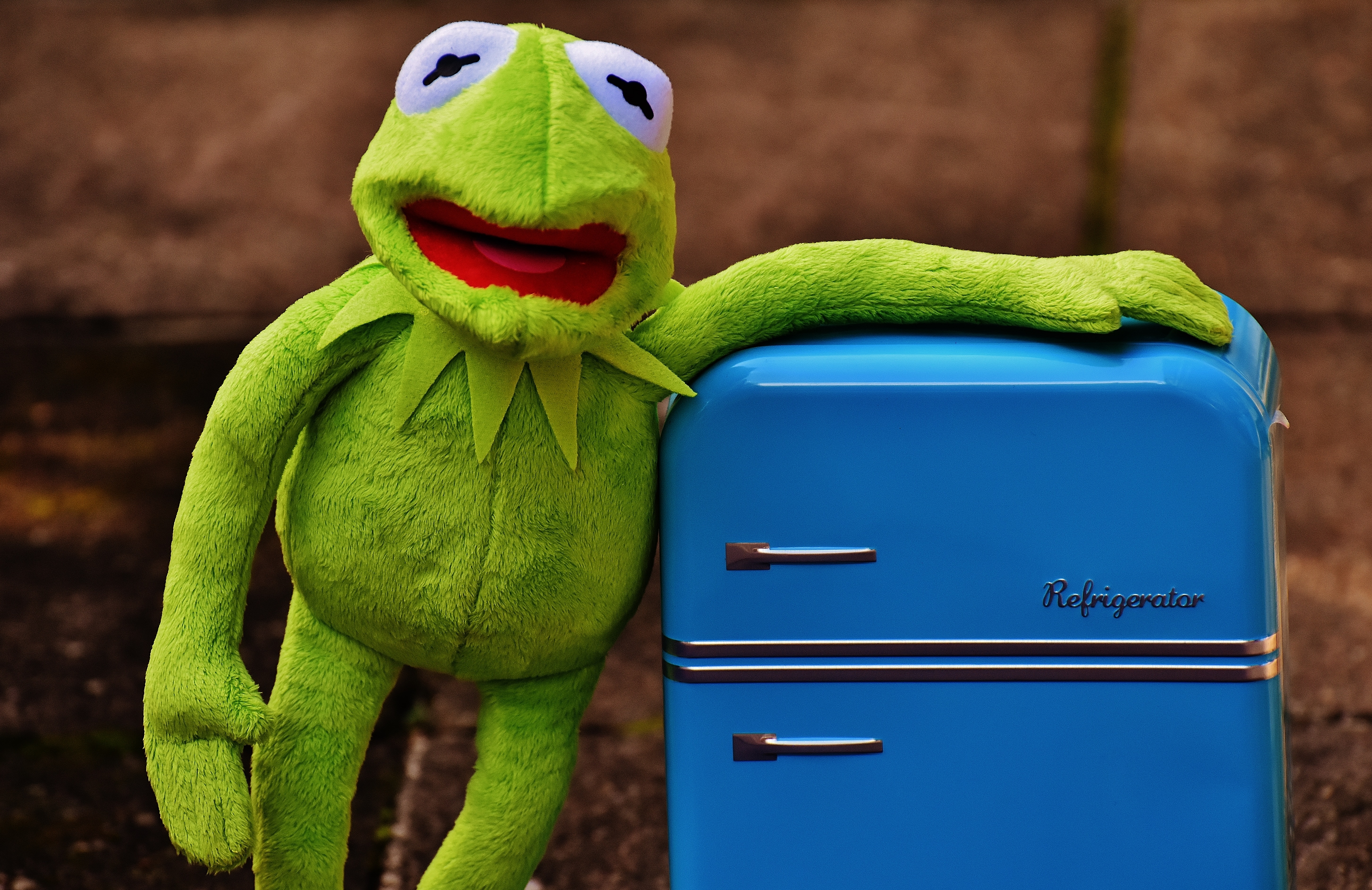 green frog plush toy and refrigerator