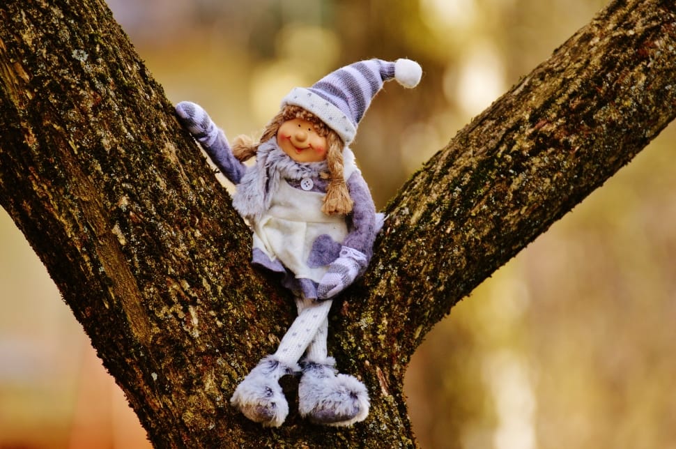 doll on tree selective focus photography preview