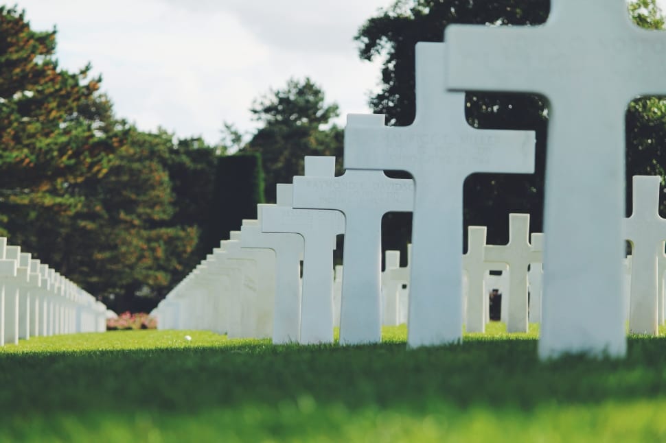 row of crosses in cemetery surrounded by green trees preview