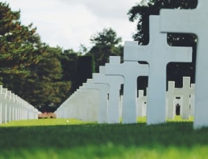 row of crosses in cemetery surrounded by green trees thumbnail