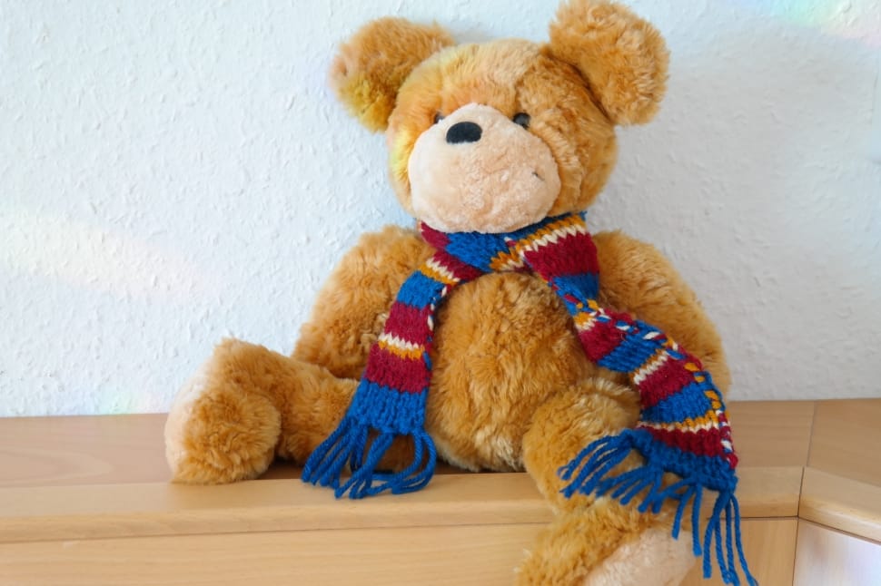 Soft Toy, Teddy Bear, Teddy, Toys, Bear, teddy bear, stuffed toy preview