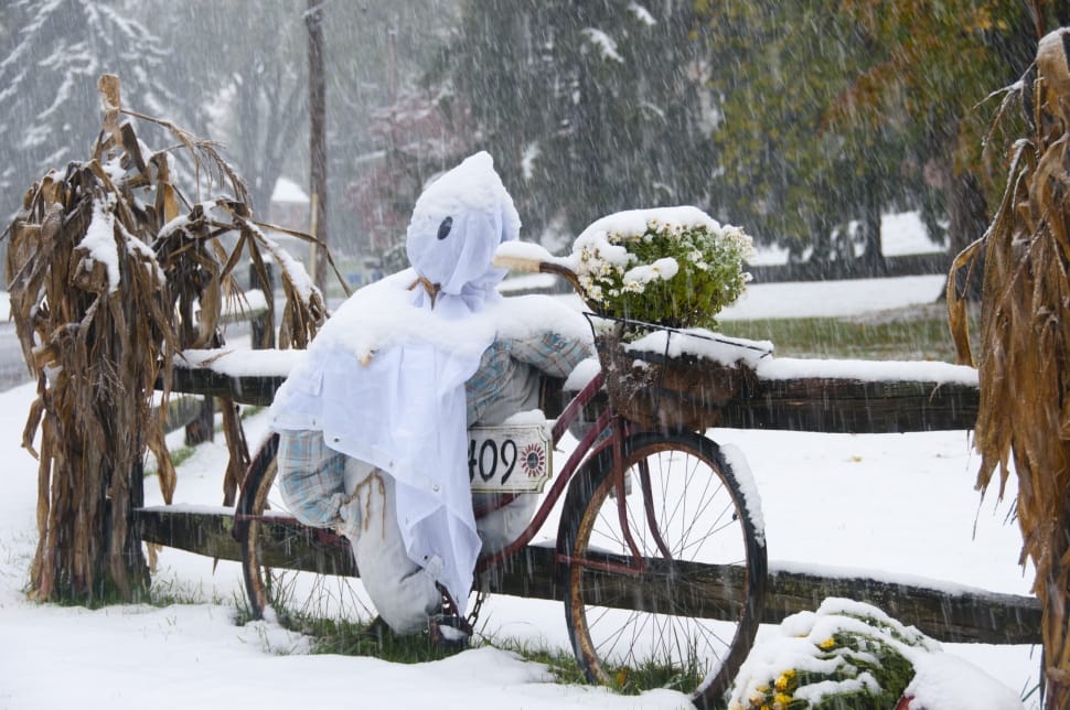 Scarecrow, Snow, Straw Man, Winter, winter, snow preview