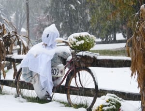 Scarecrow, Snow, Straw Man, Winter, winter, snow thumbnail