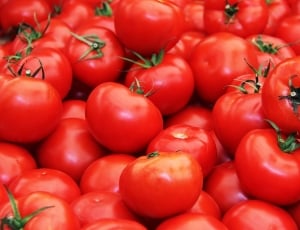red tomato fruit lot thumbnail