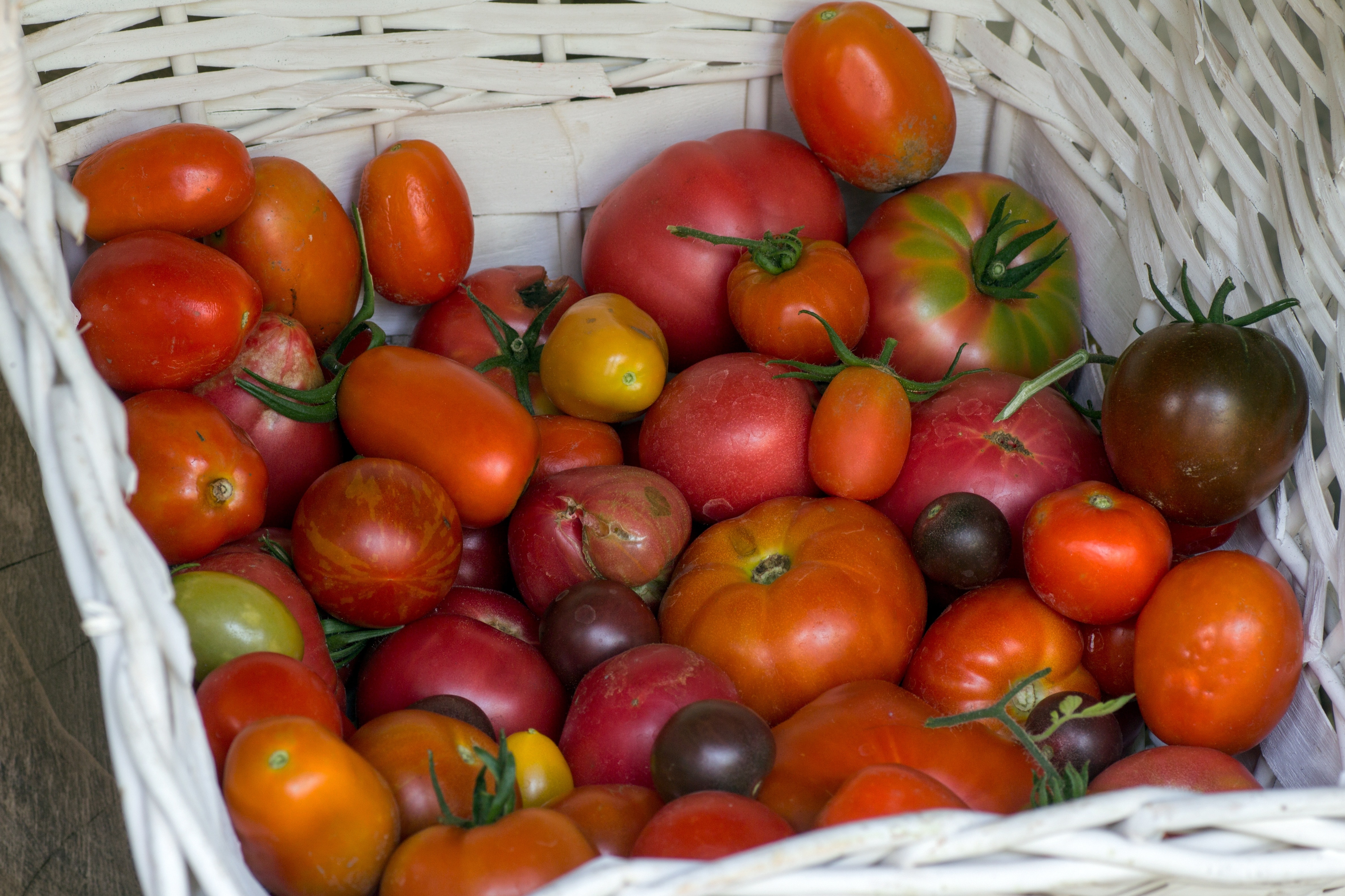 Vegetables, Tomatoes, Basket, fruit, food and drink
