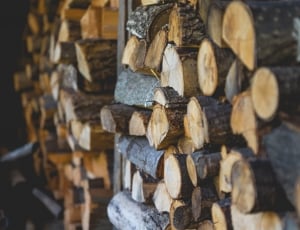 brown stacked firewood thumbnail