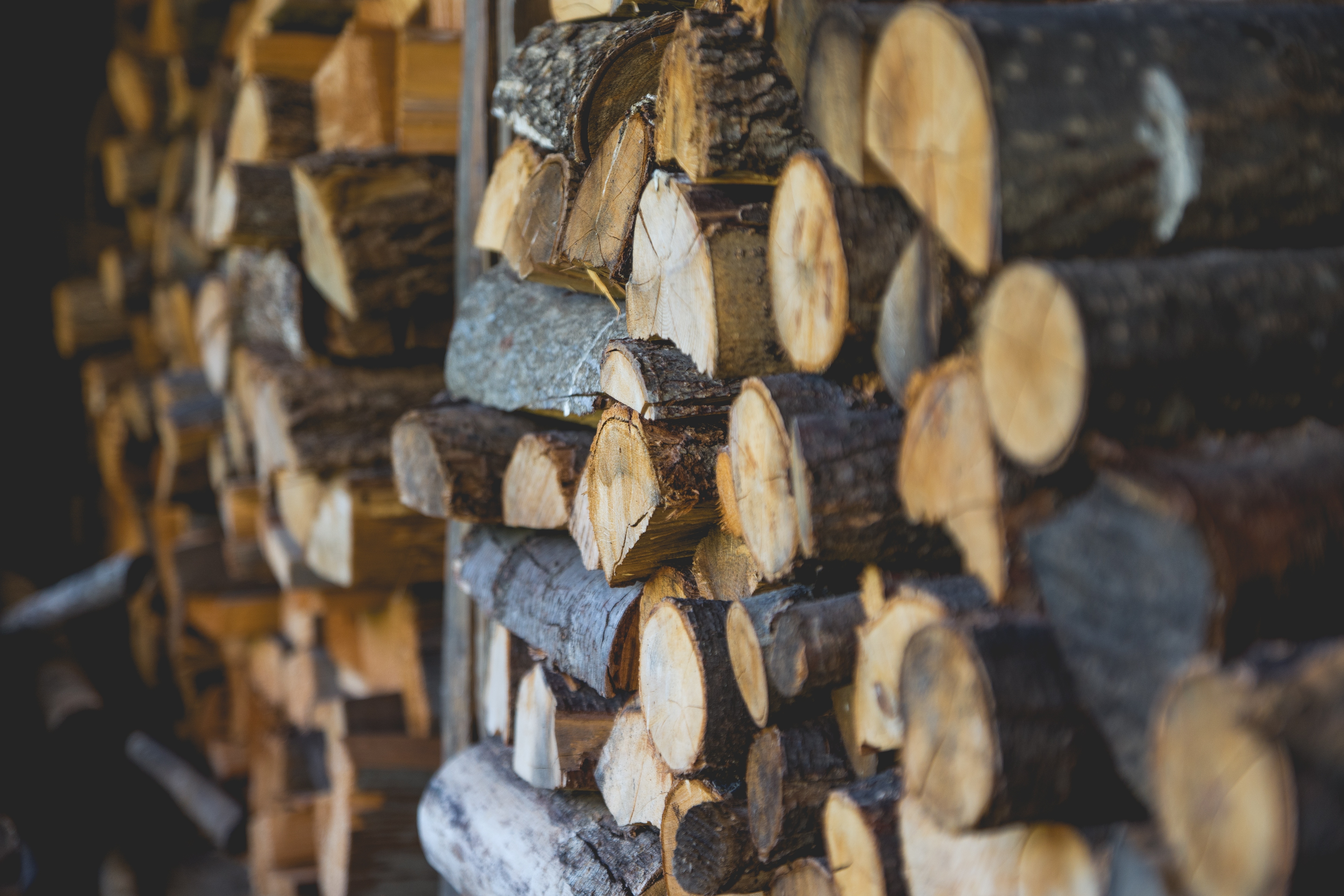 brown stacked firewood