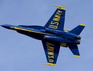 blue and yellow u.s. navy plant thumbnail