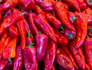 red chili pepper lot thumbnail