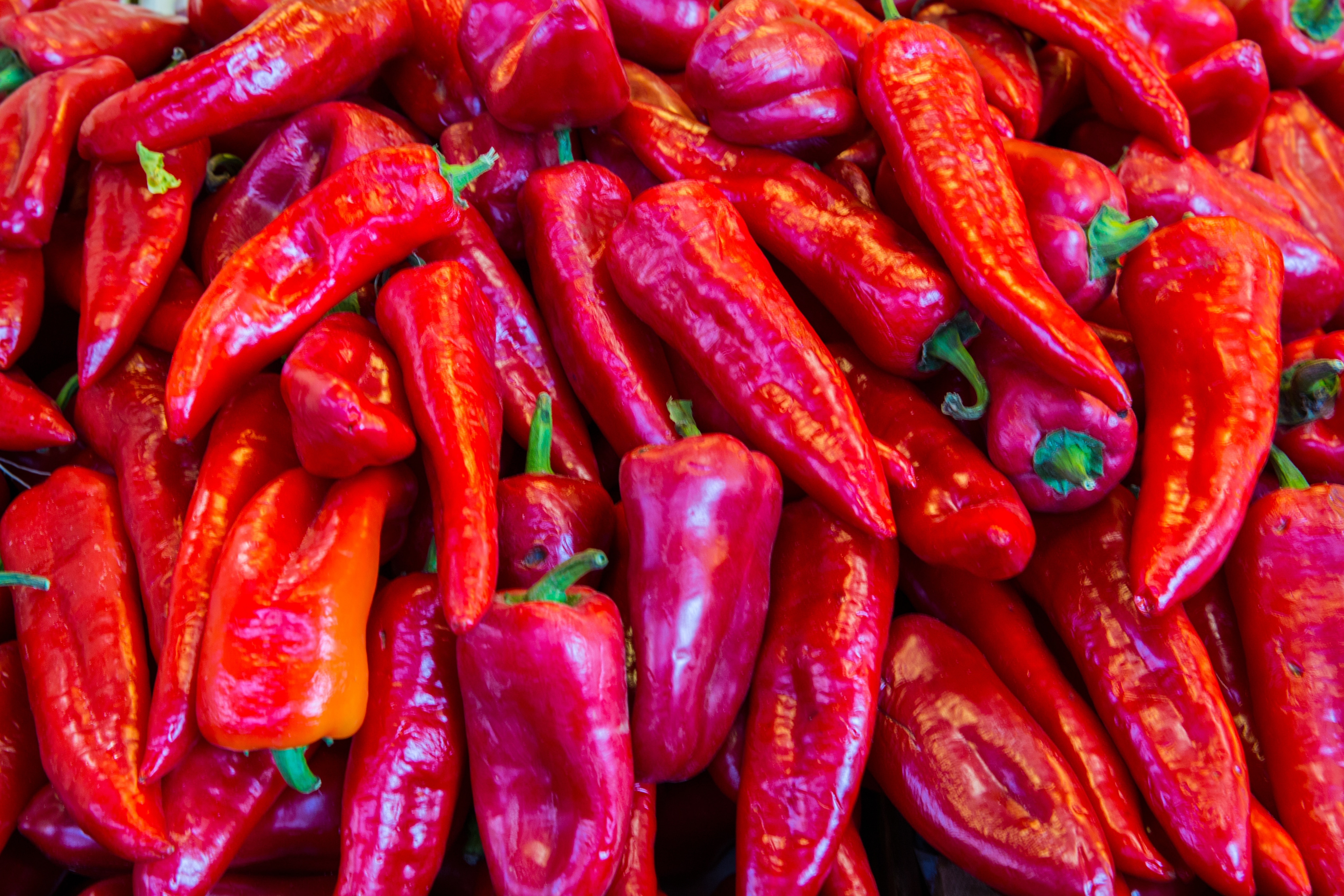 red chili pepper lot