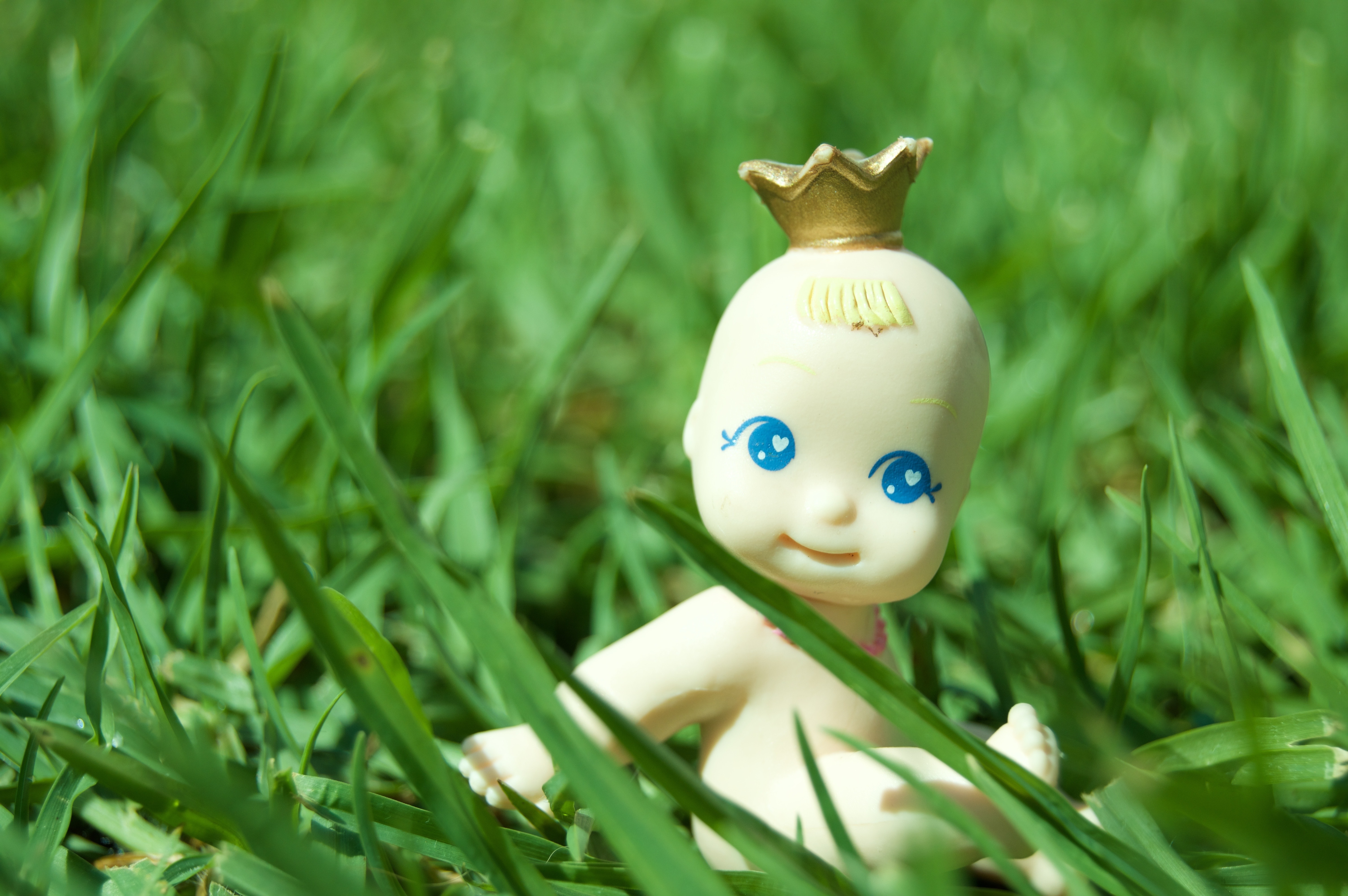 white baby toy on green grass during daytime