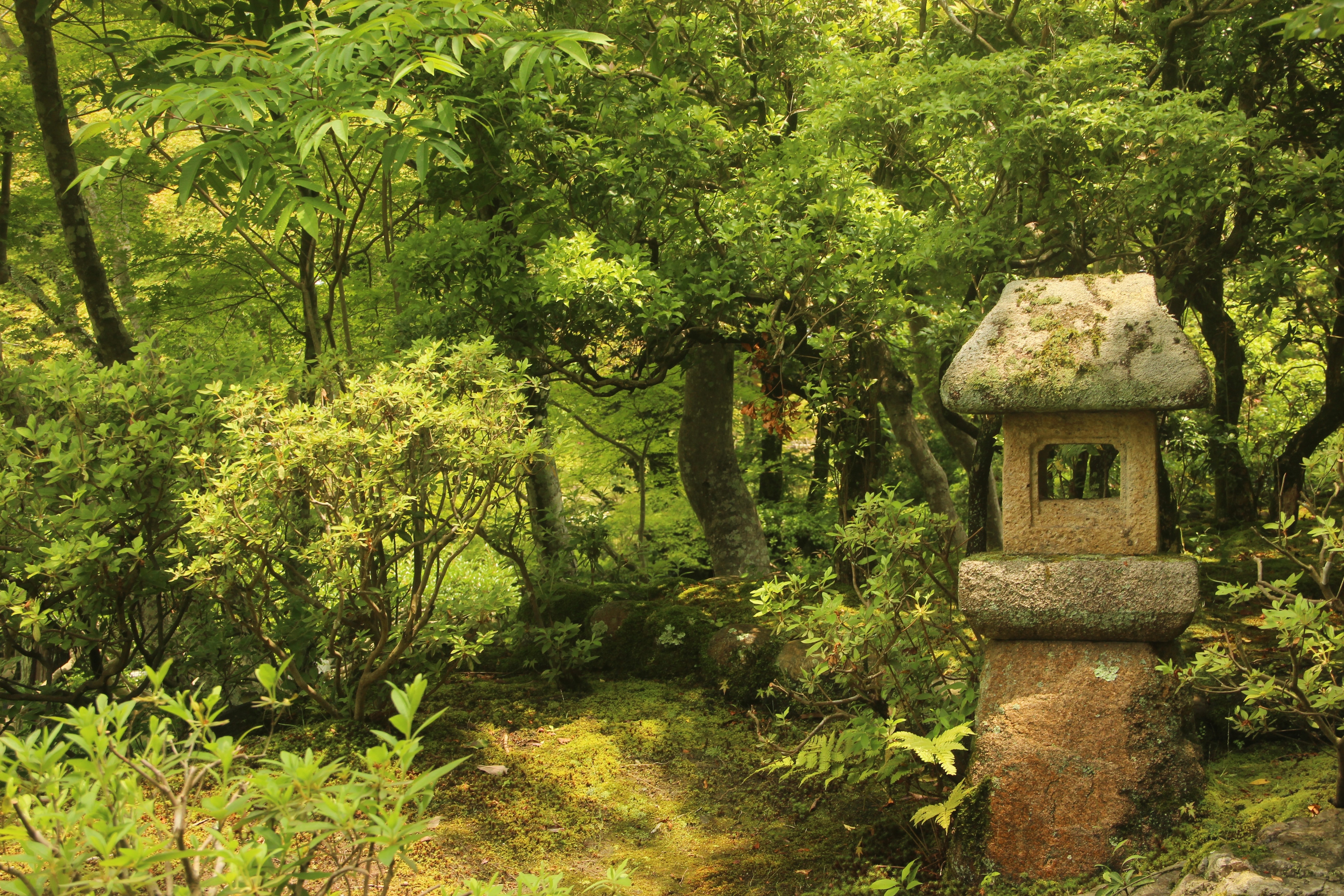 Japanese, Shrine, Greenery, Garden, no people, tree